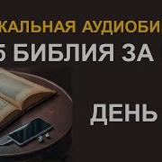 День 27 Библия За Год С Митрополитом Иларионом Библейский Ультрамарафон Портала Иисус