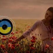 Олег Винник Біла Голубка Гарна Українська Пісня Українська