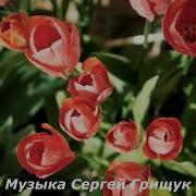 Музыка Сергей Грищук Жизнь Идет