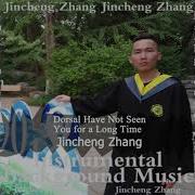 Jincheng Zhang Have Not Seen You For A Long Time Instrumental
