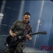 Puppe Backing Track