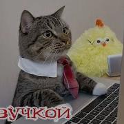 Приколы Из Фильмов С Озвучкой