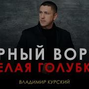 Владимир Курский Чёрный Ворон Белая Голубка Презентация Альбома Волчица Москва