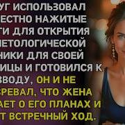 Наталья Нашла Фото Красотки В Книге Мужа Но Не Догадывалась Что Он Открыл Тайную Клинику Красоты