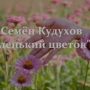 Семен Кудухов Аленький Цветочек