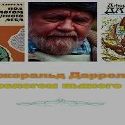 Под Пологом Пьяного Леса Аудиокнига