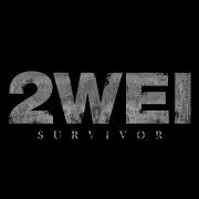 Survivor Destiny S Child Cover 2Wei