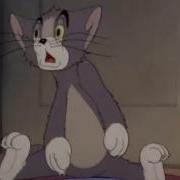 Tom And Jerry 4 Episode Fraidy Cat 1942