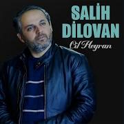 Salih Diiovan