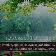 Муҳаммад Ал Муқит