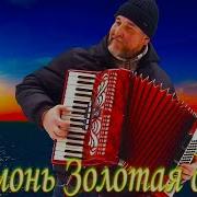 Гармонь Золотая Душа Рыжков