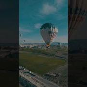 Stem Сочи