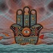 Aleph Bass Darshan