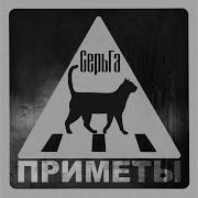 Мы Забьём На Войну