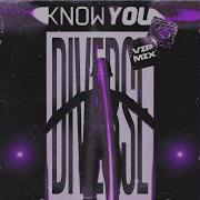 Diverse Know You Extended Vip Mix