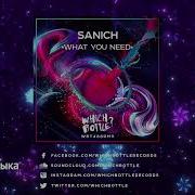 What You Need Sanich
