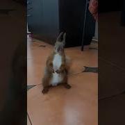 Махатся Будешь Со Мной