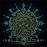 Perception Lexxus