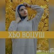 Макка Межиева Ва Хьомениг Хьо Воцуш Со Муха Ехар Ю