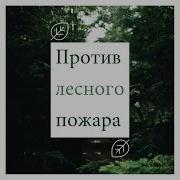 Ирина Северова Флора И Фауна