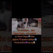Ты Слезняк Как Жели Белли