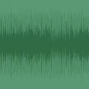 Funky Disco Royalty Free Stock Music Motion Array