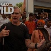 Snake Charmer