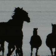 Pink Maggit Squarepusher Remix Deftones