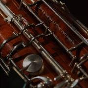 Symphonies D Instruments A Vent Symphonies Of Wind Instruments Nash