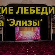 Дикие Лебеди Песня Элизы
