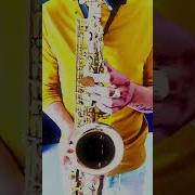 Листья Жёлтые Saxophone Version Саксофон