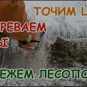 Лесоповал Бензопила