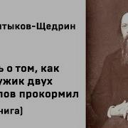 Как Один Мужик Двух Генералов Прокормил Аудиоспектакль