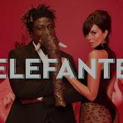 Nk Elefante Official Video