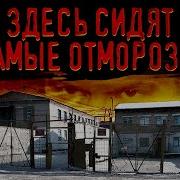 Полярная Сова