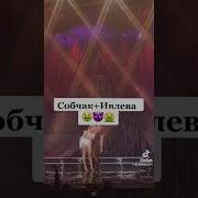 Service Лесбиянки Язык В Попе