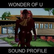 Wonder Of U Sound Profile