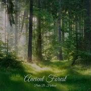 Peder B Helland Ancient Forest