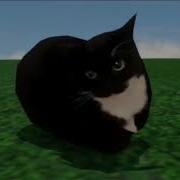Maxwell Cat Song 1 Hour