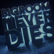 Bigroom Never Dies Hardwell