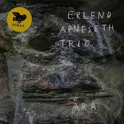 Erlend Apneseth Trio Nattkatt Feat Erlend Apneseth Stephan Meidell