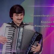 Зери Борони Бахори