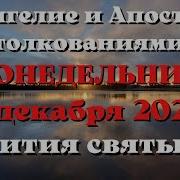 Евангелие Дня С Толкованием 9 Декабря2024