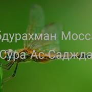 Абдуррахман Масад Сура Саджда
