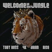 Toby Ross 3 Strikes