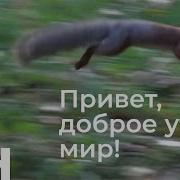 5Sta Family Привет Доброе Утро Мир
