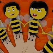 Finger Family Bee Nursery Rhymes Baby Songs Kids Rhymes Kids Tv Cartoons