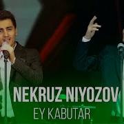 Некруз Эй Кабутар Са Ар Помир 2020