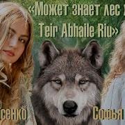 Может Знает Лес X Teir Abhaile Riu Софья Фисенко