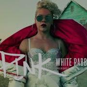 P Nk White Rabbit Full Studio Version